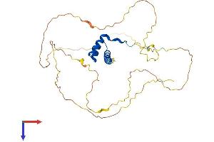 HOXC10 Protein (AA 1-342) (His tag)