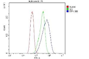 Flow Cytometry analysis of Caco-2 cells using anti-eRF1/ETF1 antibody (ABIN7602626).