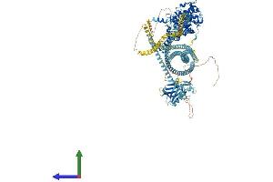 AlphaFold protein structure predicition of Human Recombinant ROCK2 Protein, UniprotID O75116 (ROCK2 Protein (AA 1-1388) (His tag))