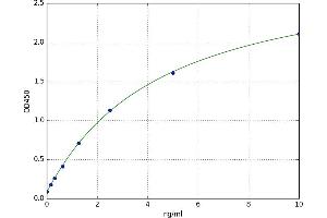 Regulator of G-Protein Signaling 3 (RGS3) ELISA Kit