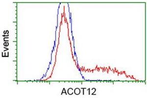 HEK293T cells transfected with either RC210445 overexpress plasmid (Red) or empty vector control plasmid (Blue) were immunostained by anti-ACOT12 antibody (ABIN2454307), and then analyzed by flow cytometry. (ACOT12 抗体)