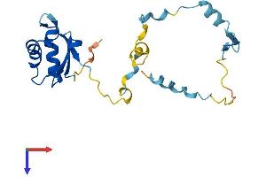 AlphaFold protein structure predicition of Human Recombinant RCAN2 Protein, UniprotID Q14206 (RCAN2 Protein (AA 1-197) (His tag))