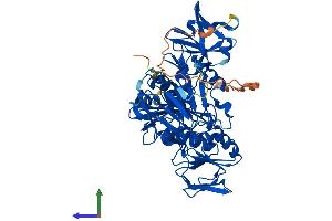 Protein Structure (PS) image for Apoptosis-Inducing Factor, Mitochondrion-Associated, 3 (AIFM3) (AA 1-605) protein (His tag) (ABIN7552040)
