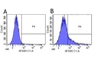 Flow-cytometry using the anti-CD40L research biosimilar antibody Ruplizumab (hu5c8, )  Human lymphocytes were stained with an isotype control (panel A) or the rabbit-chimeric version of Ruplizimab ( panel B) at a concentration of 1 µg/ml for 30 mins at RT. (Recombinant CD40L (Ruplizumab Biosimilar) 抗体)