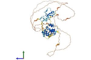 AlphaFold protein structure predicition of Mouse Recombinant Aire Protein, UniprotID Q9Z0E3