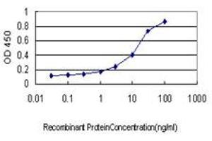 Detection limit for recombinant GST tagged USP48 is approximately 0. (USP48 抗体  (AA 110-219))