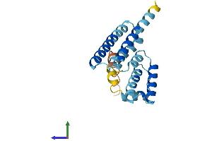 AlphaFold protein structure predicition of Mouse Recombinant Lzic Protein, UniprotID Q8K3C3