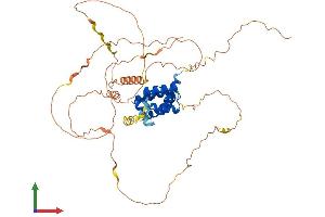 Protein Structure (PS) image for POU Class 3 Homeobox 3 (POU3F3) (AA 1-497) protein (His tag) (ABIN7563116)