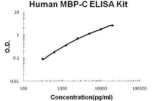 Human MBP-C/MBL2 Accusignal ELISA Kit Human MBP-C/MBL2 AccuSignal ELISA Kit standard curve. (MBL2 ELISA 试剂盒)