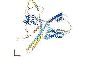 Protein Structure (PS) image for Potassium Voltage-Gated Channel, Shal-Related Subfamily, Member 3 (KCND3) (AA 1-655) protein (His tag) (ABIN7554297)
