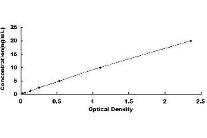 Typical standard curve (SIRPB1 ELISA 试剂盒)