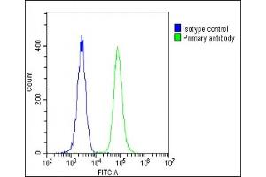Overlay histogram showing U-2 OS cells stained with C(green line). (RPS18 抗体  (AA 62-91))