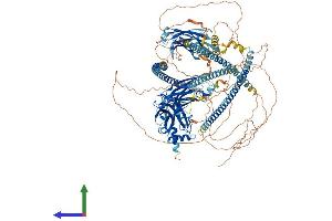 Protein Structure (PS) image for Retinitis Pigmentosa GTPase Regulator Interacting Protein 1 (RPGRIP1) (AA 1-1286) protein (His tag) (ABIN7555278)