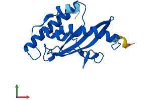 Protein Structure (PS) image for Ubiquitin-Fold Modifier Conjugating Enzyme 1 (UFC1) (AA 1-167) protein (His tag) (ABIN7545033)