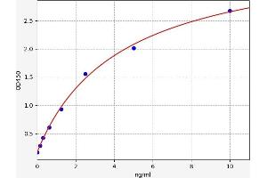 Typical standard curve (Undercarboxylated Osteocalcin ELISA 试剂盒)