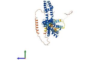 Protein Structure (PS) image for Potassium Voltage-Gated Channel, Shaker-Related Subfamily, Member 1 (KCNA1) (AA 1-495) protein (His tag) (ABIN7562902)