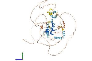 AlphaFold protein structure predicition of Human Recombinant ERICH6B Protein, UniprotID Q5W0A0 (ERICH6B (AA 1-696) protein (His tag))