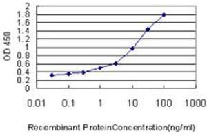 Detection limit for recombinant GST tagged DDX20 is approximately 0. (DDX20 抗体  (AA 725-824))