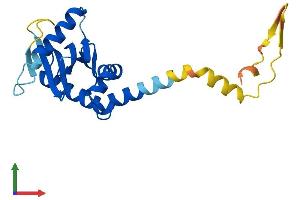 Protein Structure (PS) image for Adaptor-Related Protein Complex 3, sigma 2 Subunit (AP3S2) (AA 1-193) protein (His tag) (ABIN7552096)