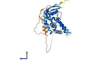 AlphaFold protein structure predicition of Mouse Recombinant Morf4l1 Protein, UniprotID P60762