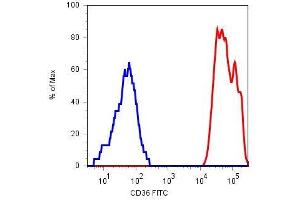 Surface staining of human platelets with anti-CD36 (TR9) FITC. (CD36 抗体)