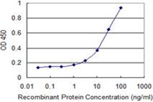 Detection limit for recombinant GST tagged RARRES2 is 0. (Chemerin 抗体  (AA 17-163))