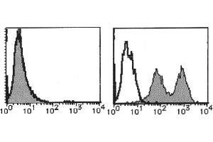 Flow Cytometry (FACS) image for anti-Integrin, alpha 7 (ITGA7) antibody (PE) (ABIN487464) (ITGA7 抗体  (PE))