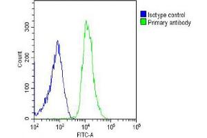 Overlay histogram showing U-2OS cells stained with (ABIN6242972 and ABIN6578632) (green line). (ITIH4 抗体  (AA 885-917))