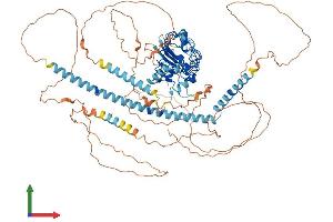 Protein Structure (PS) image for Centrosomal Protein 97kDa (CEP97) (AA 1-865) protein (His tag) (ABIN7553353)