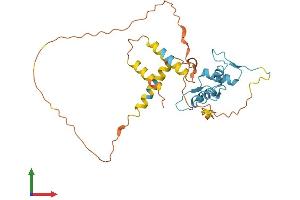 Protein Structure (PS) image for Kruppel-Like Factor 6 (KLF6) (AA 1-283) protein (His tag) (ABIN7562175)