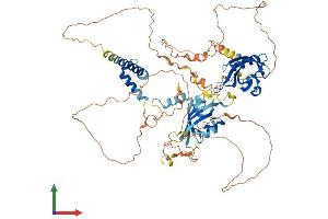 Protein Structure (PS) image for Aryl Hydrocarbon Receptor Nuclear Translocator 2 (ARNT2) (AA 1-717) protein (His tag) (ABIN7552272)
