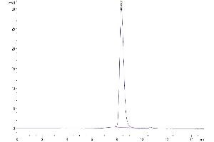 Size-exclusion chromatography-High Pressure Liquid Chromatography (SEC-HPLC) image for Interferon alpha (IFNA) (AA 27-243) protein (His tag) (ABIN7274844)