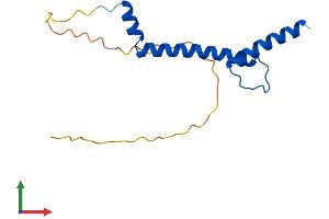AlphaFold protein structure predicition of Mouse Recombinant Nhlh2 Protein, UniprotID Q64221