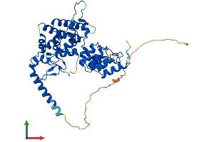 Protein Structure (PS) image for Ankyrin Repeat and MYND Domain Containing 2 (ANKMY2) (AA 1-440) protein (His tag) (ABIN7557076)