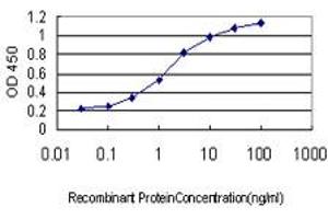 Detection limit for recombinant GST tagged RNU3IP2 is approximately 0.