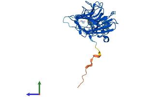 AlphaFold protein structure predicition of Human Recombinant RFPL4AL1 Protein, UniprotID F8VTS6 (RFPL4AL1 Protein (AA 1-287) (His tag))