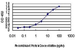 Detection limit for recombinant GST tagged AATK is approximately 0. (AATK 抗体  (AA 161-260))