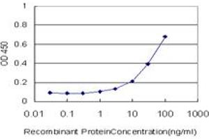 Detection limit for recombinant GST tagged CRYBB1 is approximately 3ng/ml as a capture antibody. (CRYBB1 抗体  (AA 37-137))