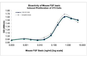 SDS-PAGE of Mouse Fibroblast Growth Factor basic Recombinant Protein Mouse Fibroblast Growth Factor basic Recombinant Protein. (FGF2 蛋白)