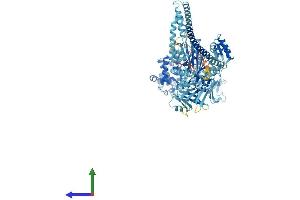 AlphaFold protein structure predicition of Human Recombinant MYO1C Protein, UniprotID O00159