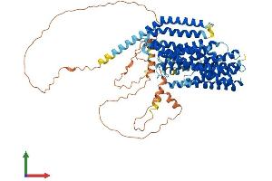Protein Structure (PS) image for Solute Carrier Family 20 (Phosphate Transporter), Member 2 (SLC20A2) (AA 1-652) protein (His tag) (ABIN7555345)