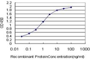 ELISA image for anti-Vesicle-Associated Membrane Protein 1 (Synaptobrevin 1) (VAMP1) (AA 28-97) antibody (ABIN598952) (VAMP1 抗体  (AA 28-97))