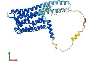 Protein Structure (PS) image for G Protein-Coupled Receptor 78 (GPR78) (AA 1-363) protein (His tag) (ABIN7548179)