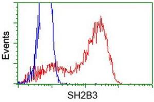 HEK293T cells transfected with either RC218359 overexpress plasmid (Red) or empty vector control plasmid (Blue) were immunostained by anti-SH2B3 antibody (ABIN2454470), and then analyzed by flow cytometry. (SH2B3 抗体)