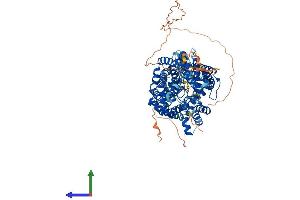 Protein Structure (PS) image for Solute Carrier Family 6 (Neurotransmitter Transporter, Glycine), Member 5 (SLC6A5) (AA 1-799) protein (His tag) (ABIN7564178)