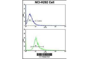 Flow cytometric analysis of NCI-H292 cells using DCXR Antibody (bottom histogram) compared to a negative control cell (top histogram). (Doublecortin 抗体  (AA 79-106))