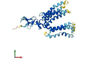 AlphaFold protein structure predicition of Mouse Recombinant Jkamp Protein, UniprotID Q8BI36