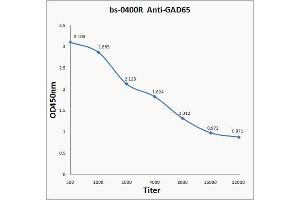 ELISA image for anti-Glutamate Decarboxylase 2 (Pancreatic Islets and Brain, 65kDa) (GAD2) (AA 501-585) antibody (ABIN668140)