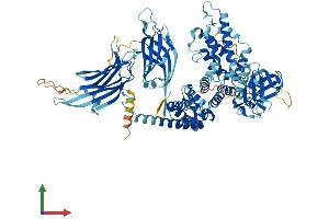Protein Structure (PS) image for RAS P21 Protein Activator 3 (RASA3) (AA 1-834) protein (His tag) (ABIN7557617)