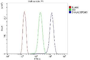 Flow Cytometry analysis of A431 cells using anti-DNAJA2 antibody (ABIN7598991).